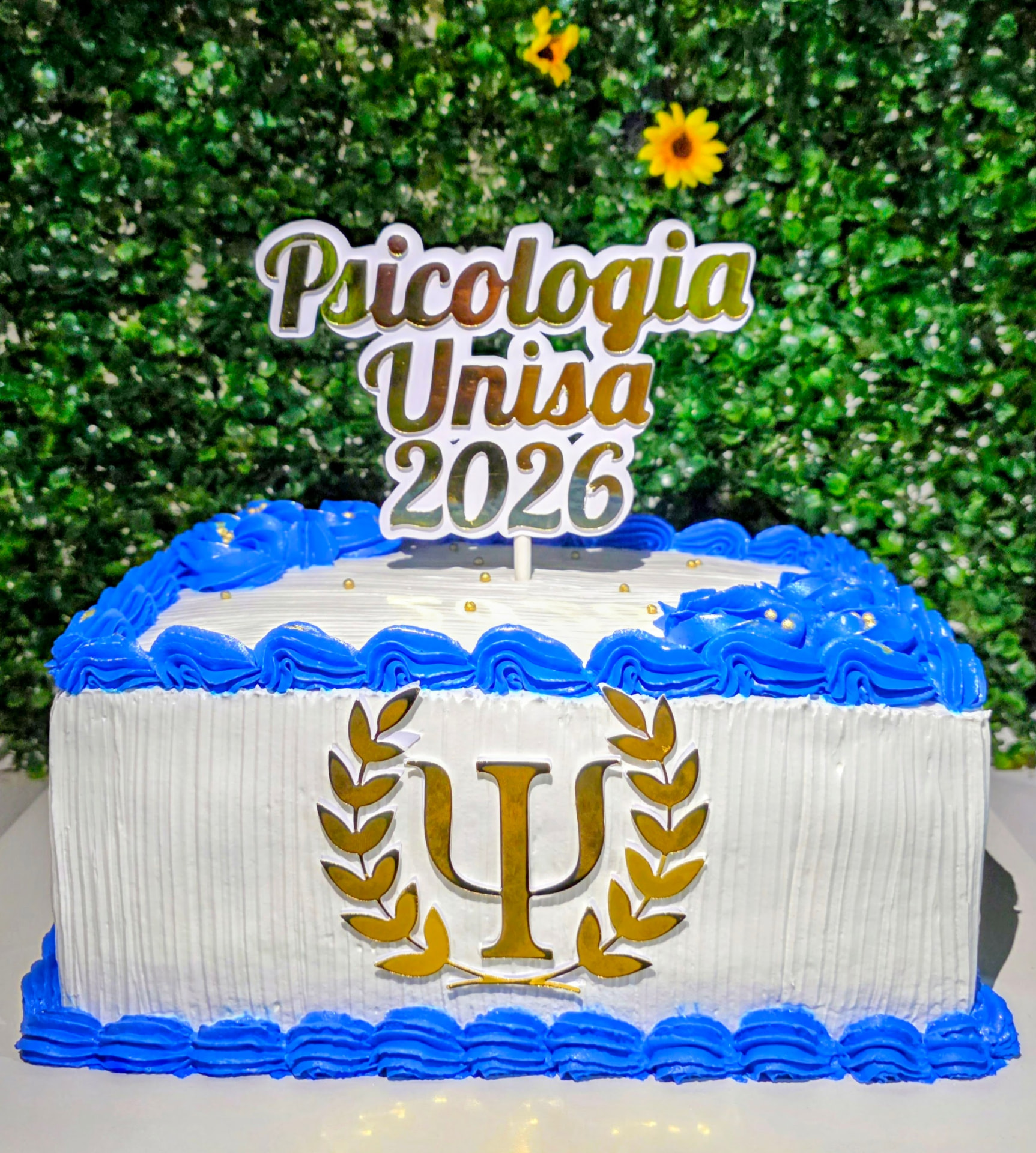 Bolo Psicologia / Formatura